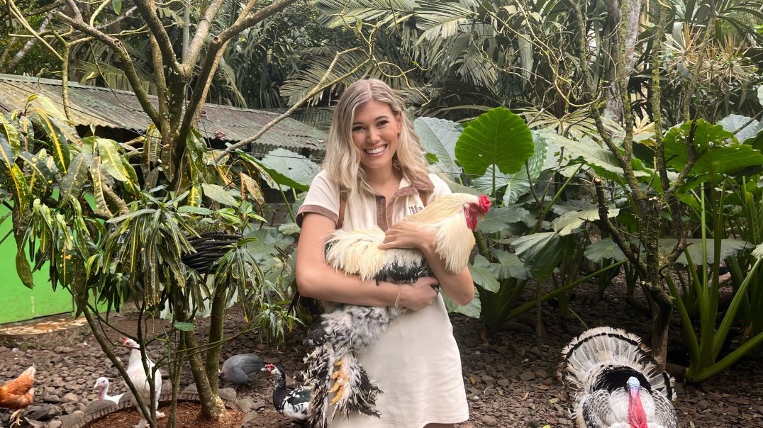Costa Rica BTS Day 4