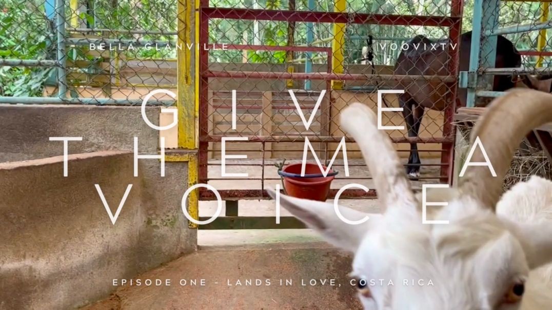 ⁣Give Them A Voice - Episode One